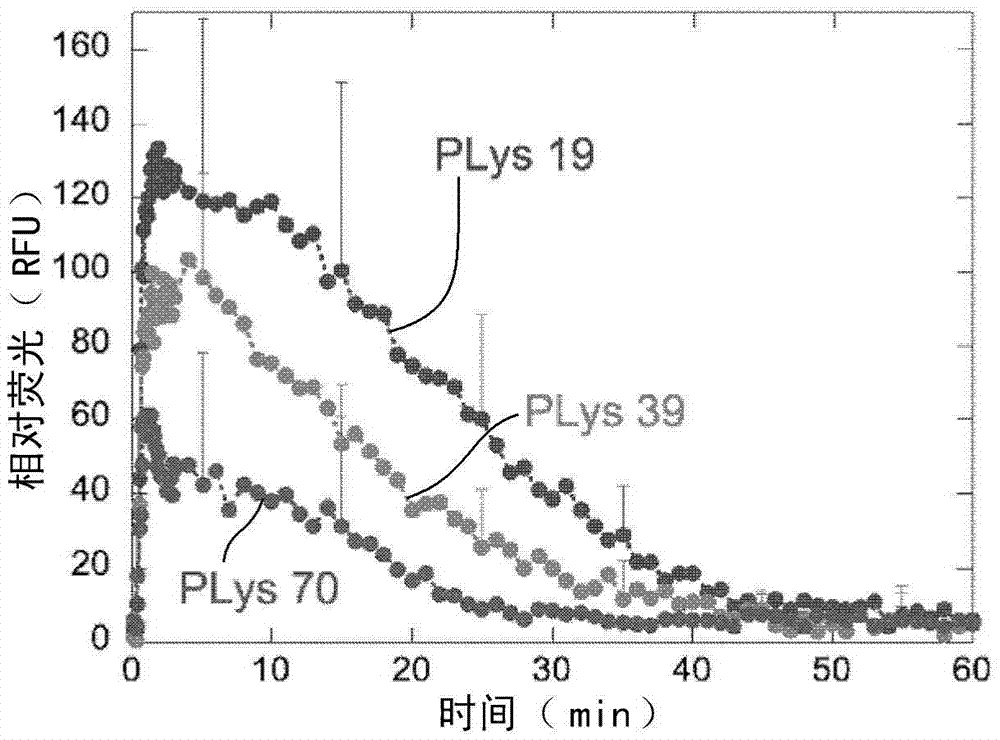 Nucleic acid-encapsulating polymer micelle complex and method for producing same