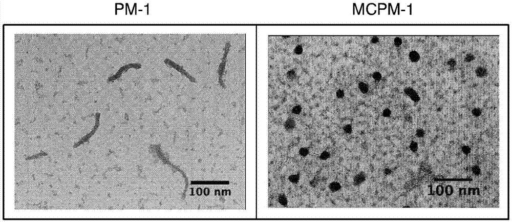 Nucleic acid-encapsulating polymer micelle complex and method for producing same