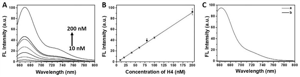 H4 nucleic acid aptamer and detection kit for detecting GBM cells and application of H4 nucleic acid aptamer and detection kit