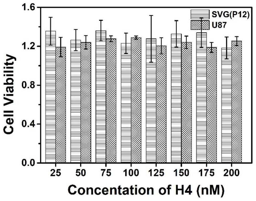 H4 nucleic acid aptamer and detection kit for detecting GBM cells and application of H4 nucleic acid aptamer and detection kit