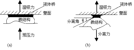 Foot pad of bionic wet-sucking wall-climbing robot with semispherical microstructure