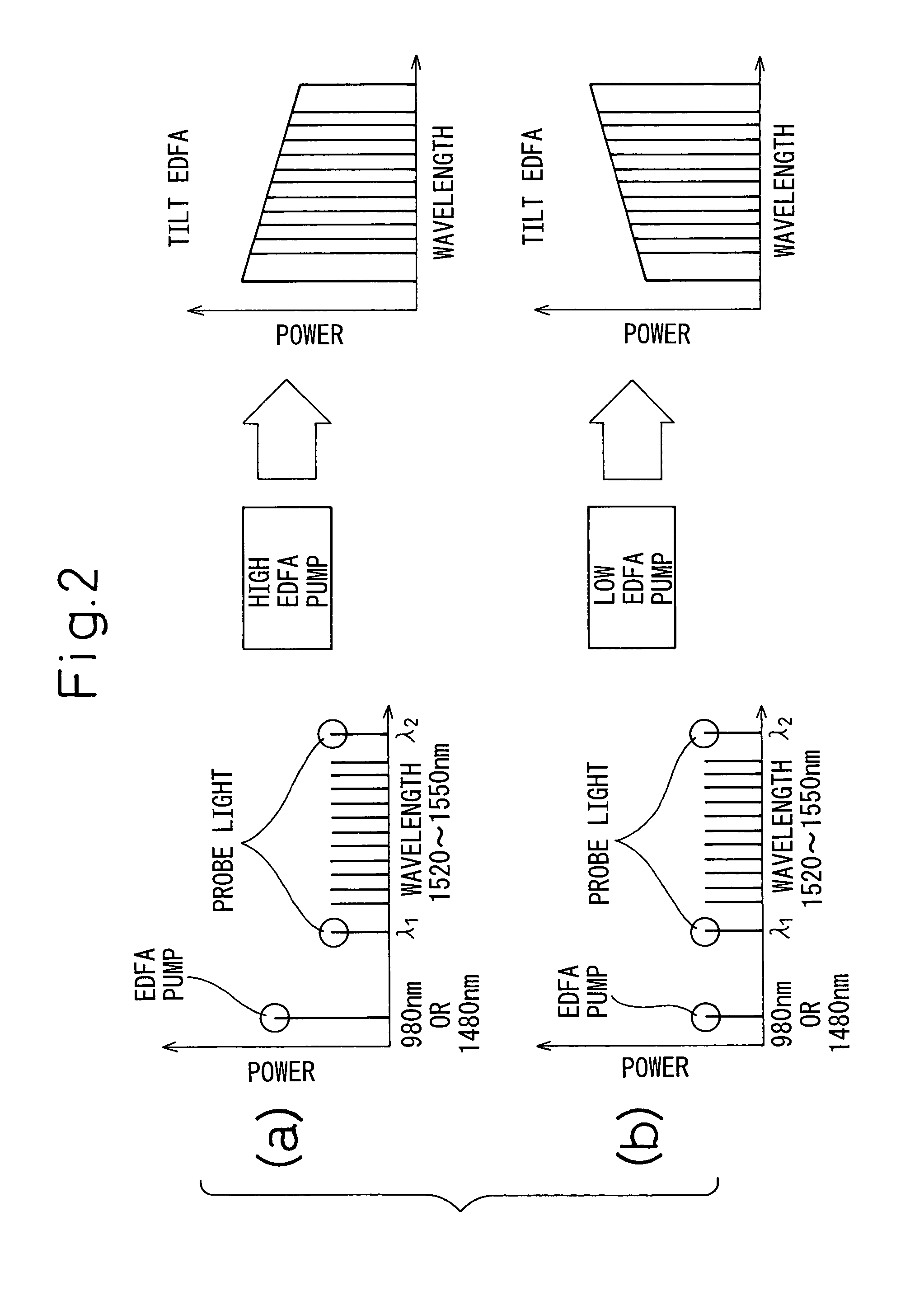 Multistage optical amplifier having tilt compensation feature