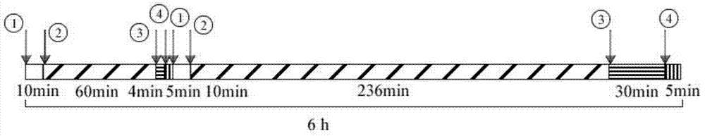 Method for quickly acclimatizing active sludge mixed flora to prepare polyhydroxyalkanoate (PHA) by using aerobic dynamic drainage method