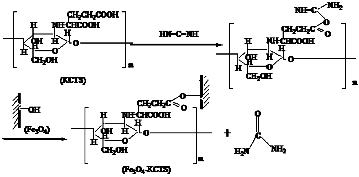 A kind of multifunctional biosorbent material and preparation method thereof