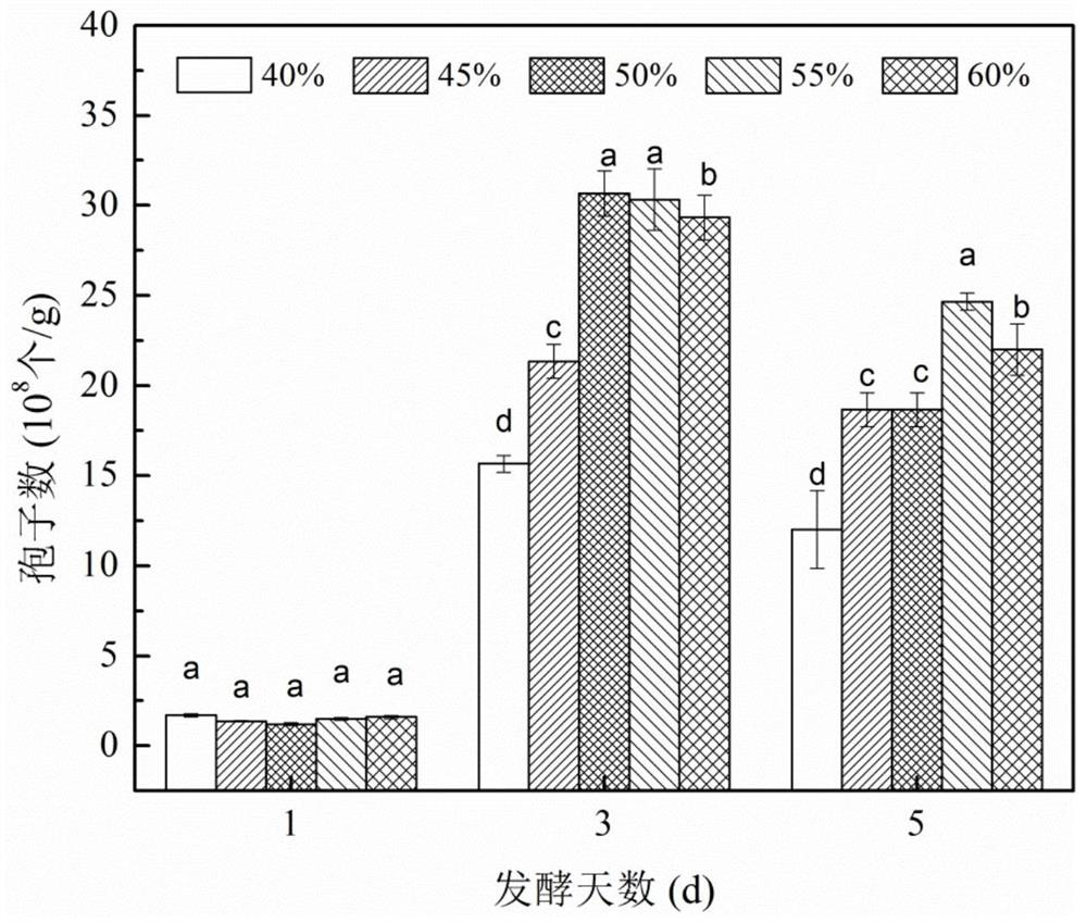 The method of a coronary scattered cyst bacteria solid -state fermentation ginkgo powder and its prepared products and applications