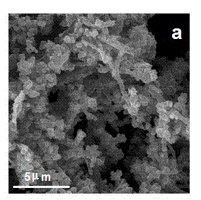 Sulfur/carbon composite material for lithium-sulfur secondary battery and preparation method thereof