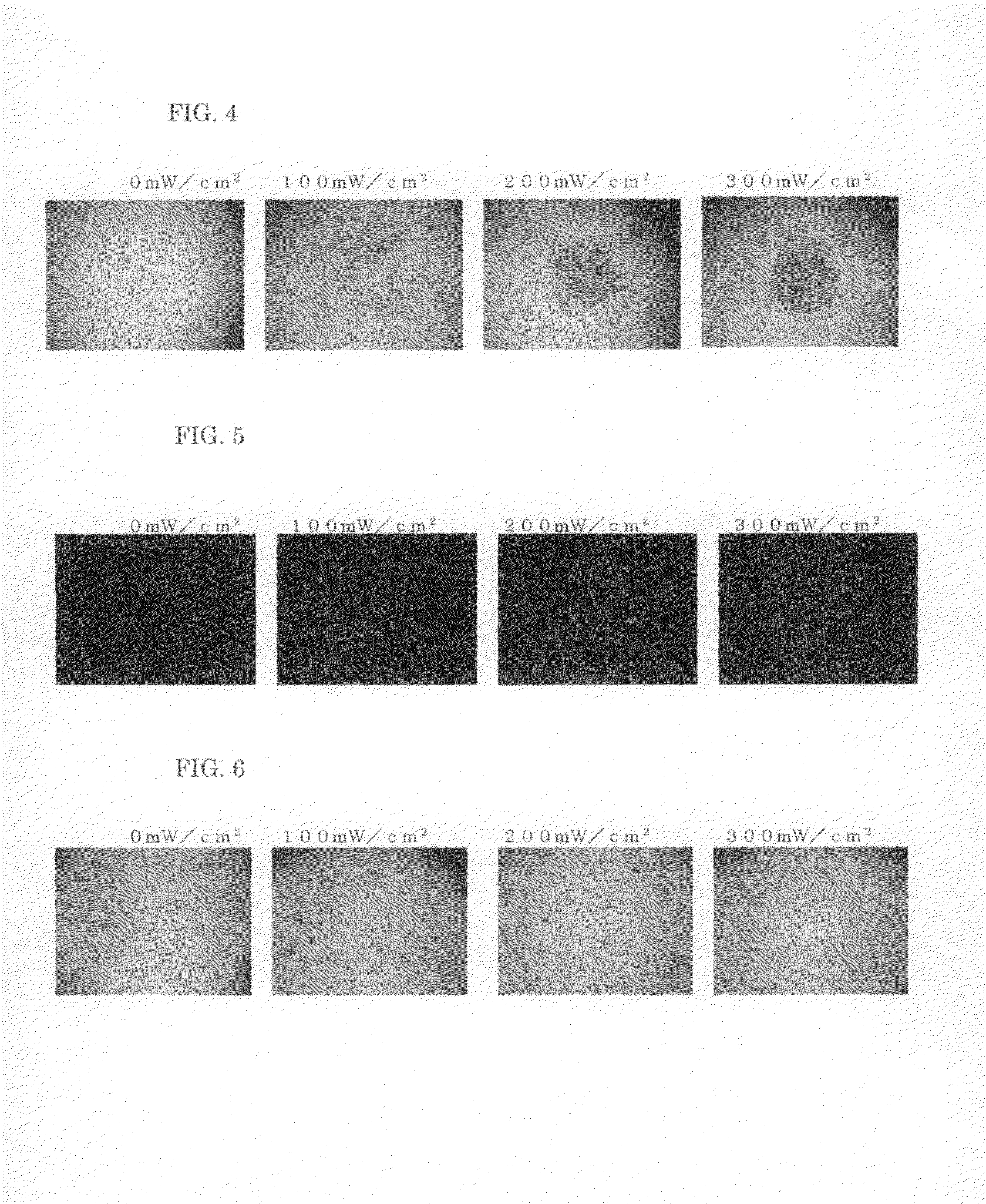 Method of differentiation induction to osteoblasts