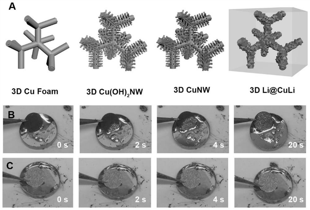 A three-dimensional metal lithium negative electrode and its preparation method and application