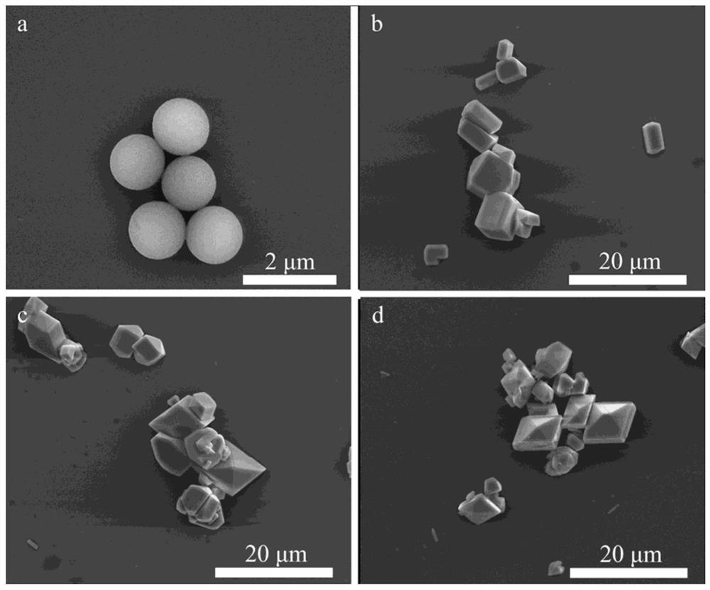 A kind of preparation method and application of spherical cobalt oxalate