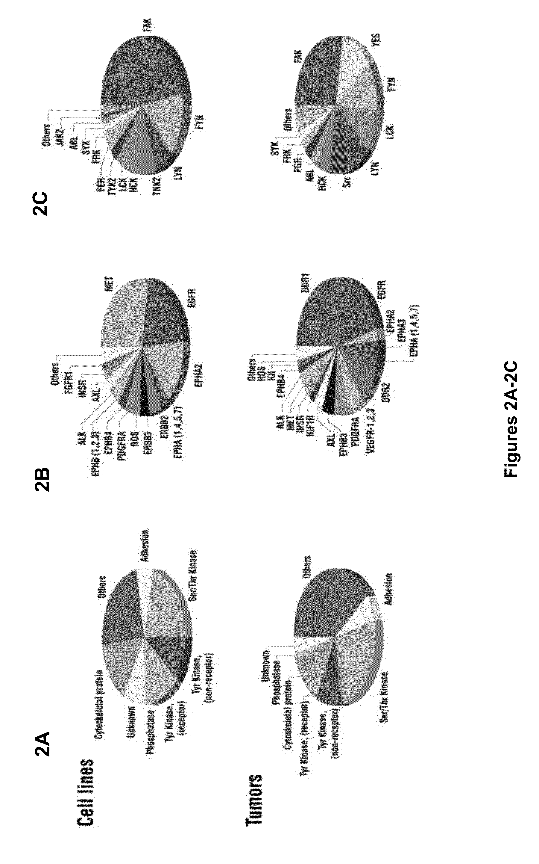 Cancer classification and methods of use