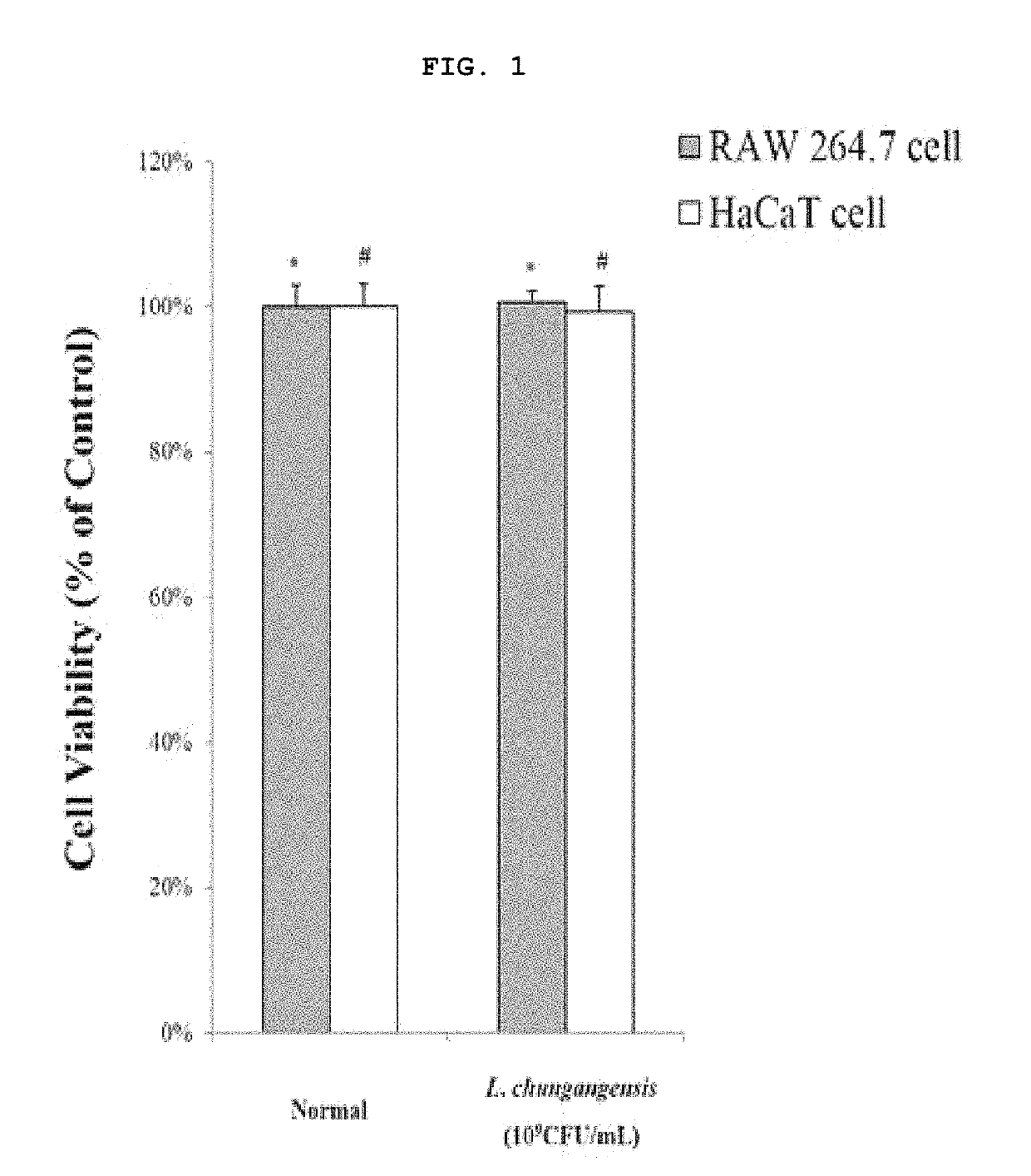 Pharmaceutical composition for preventing or treating inflammatory diseases, containing <i>Lactococcus chungangensis </i>as active ingredient