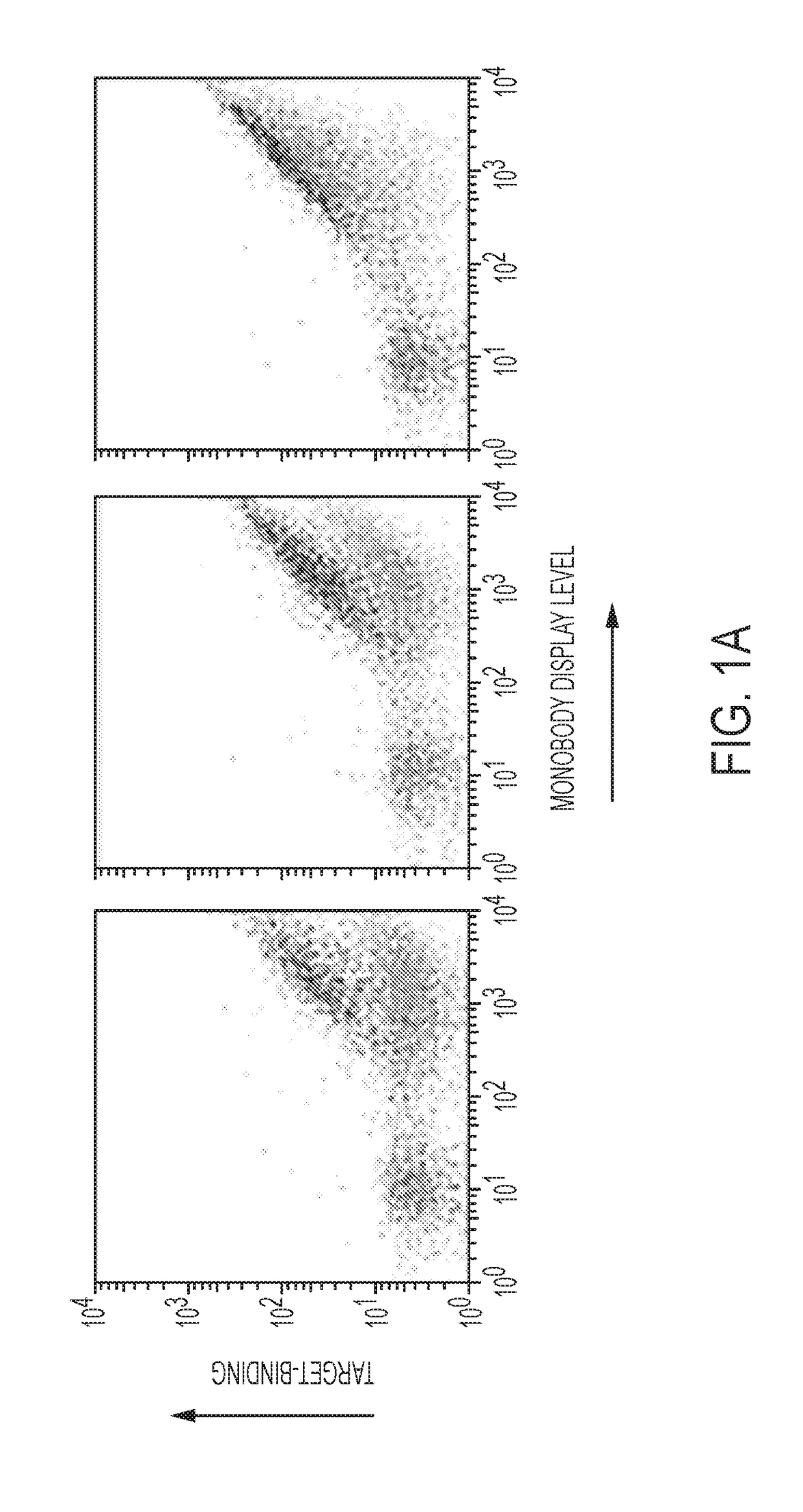 Compositions and methods for modulating kinase activity