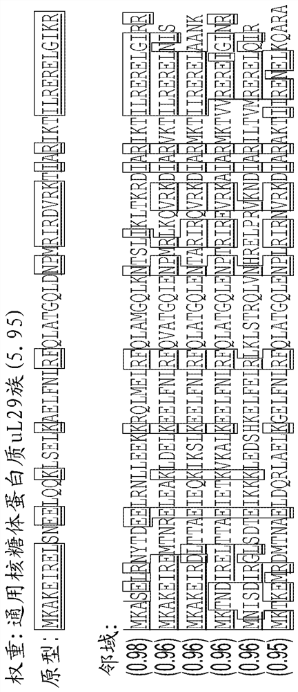 System and method for interpretable sequence and time-series data modeling