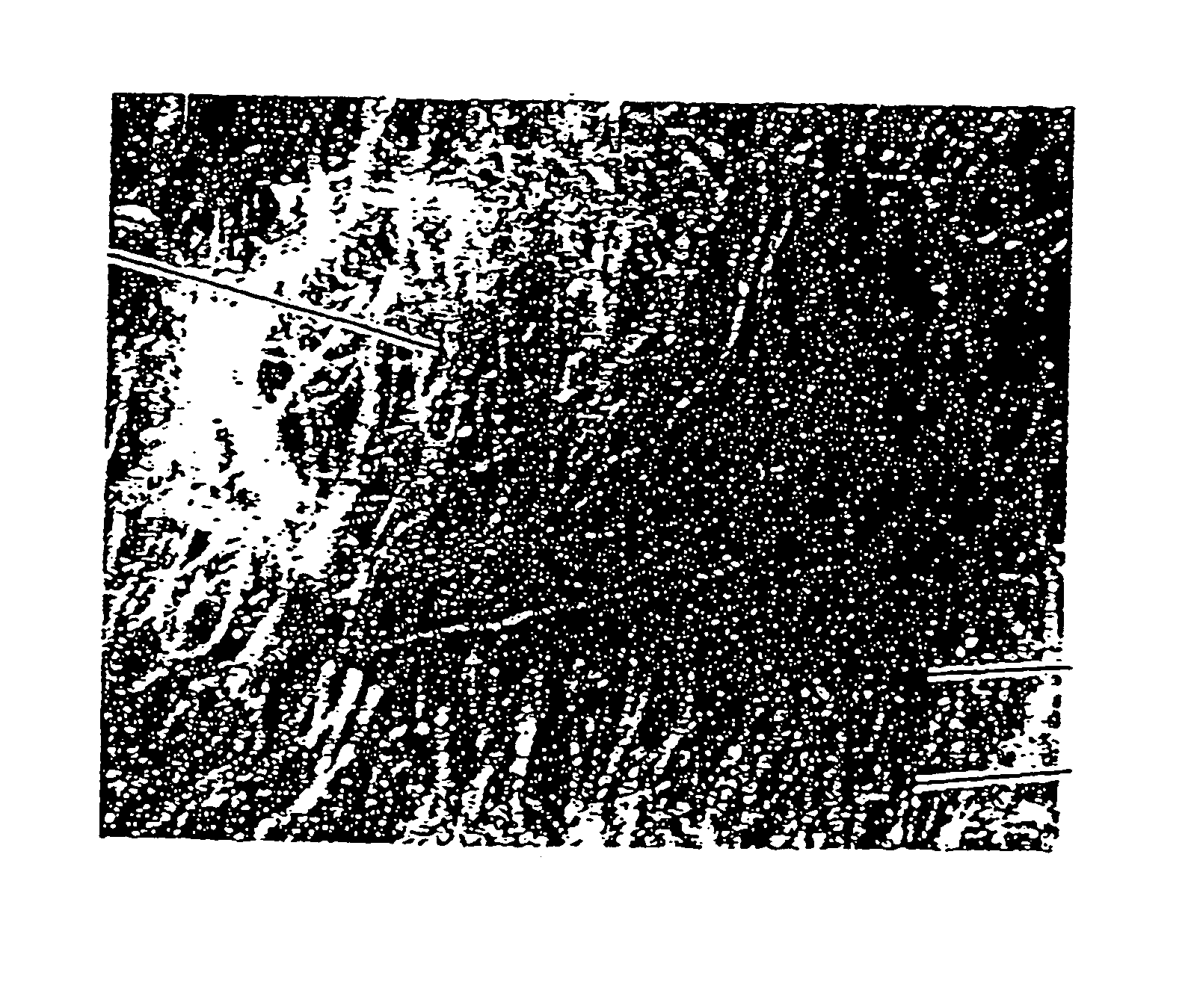Electrostatically charged filter media incorporating an active agent