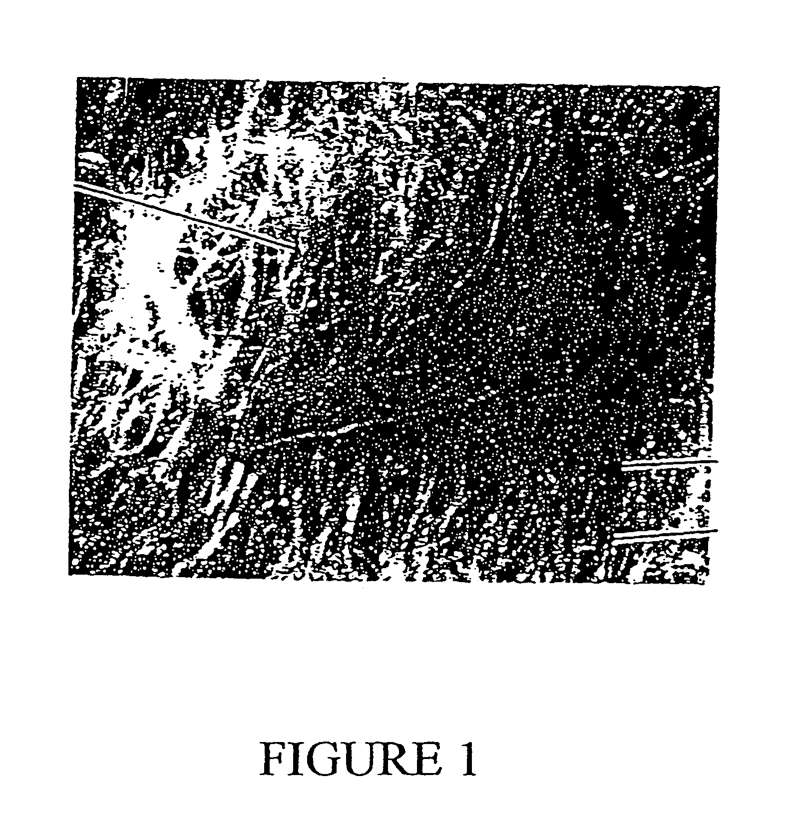 Electrostatically charged filter media incorporating an active agent