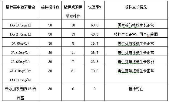 Comprehensive method for preventing and treating aging of tissue culture seedlings and application