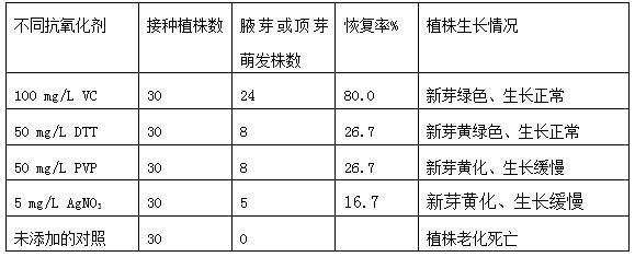 Comprehensive method for preventing and treating aging of tissue culture seedlings and application