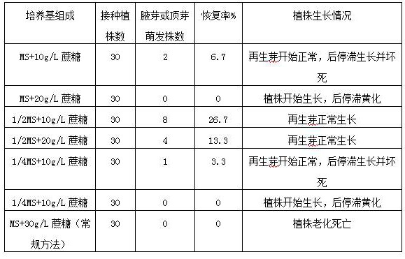 Comprehensive method for preventing and treating aging of tissue culture seedlings and application