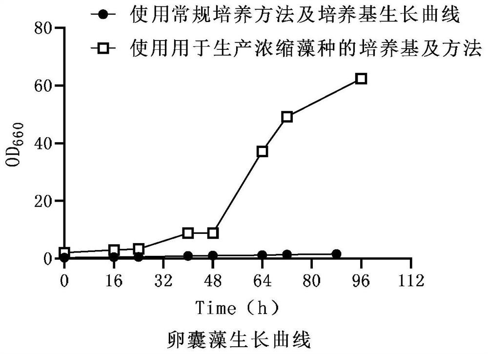 Special culture medium for producing concentrated oocystis and culture method thereof