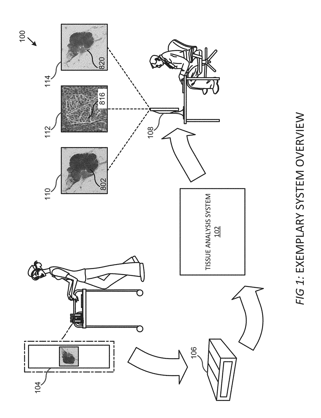 Systems, methods, and apparatuses for digital histopathological imaging for prescreened detection of cancer and other abnormalities