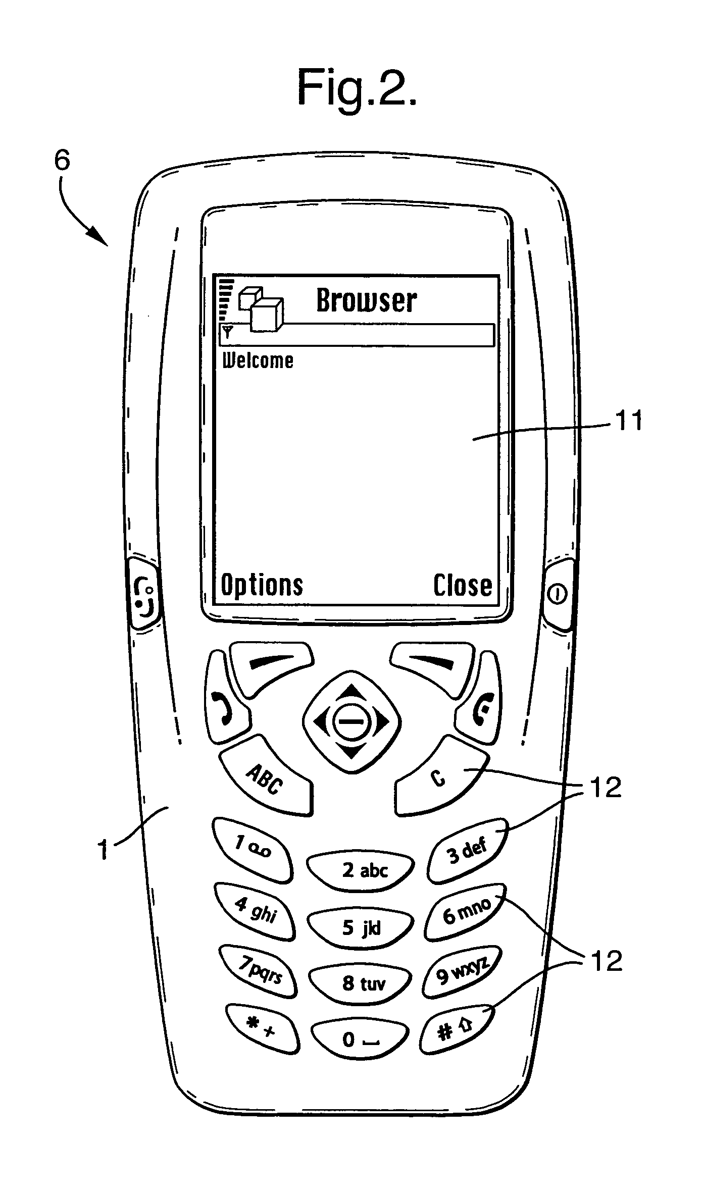 Mobile phone image display system