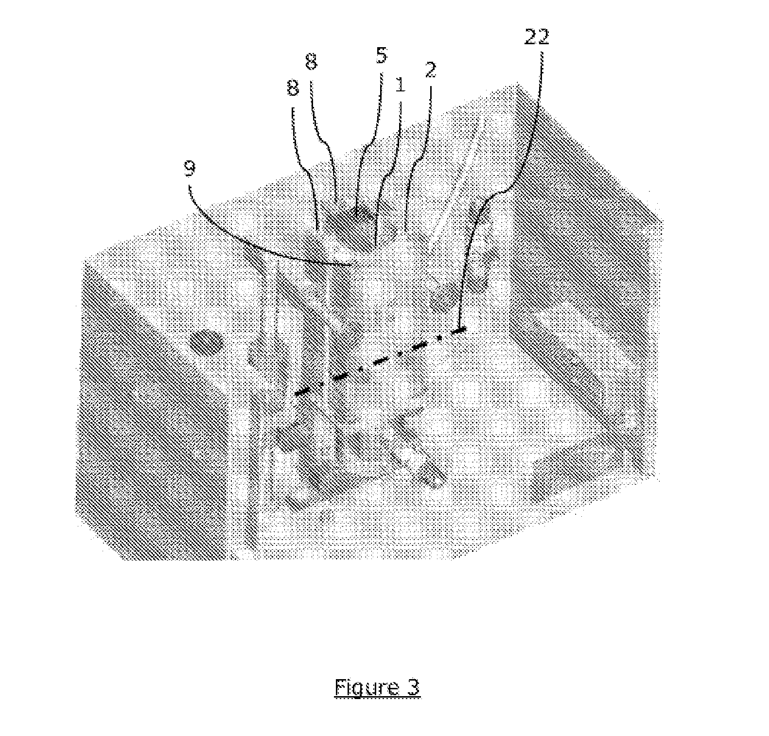 Cooled pulsed light treatment device
