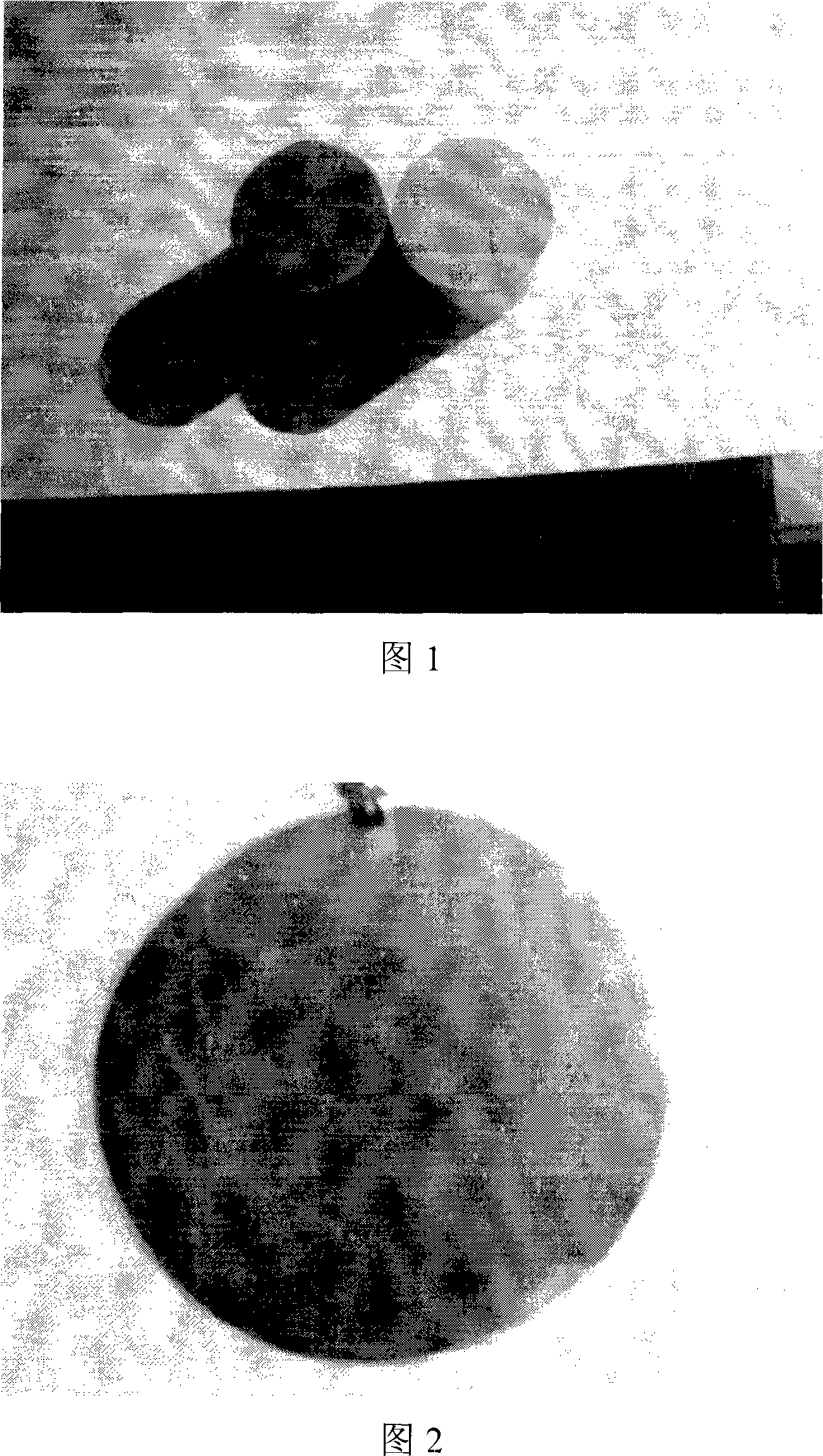 Titanium alloy parts protection and its preparation method and uses of hydrogen prevention crisp