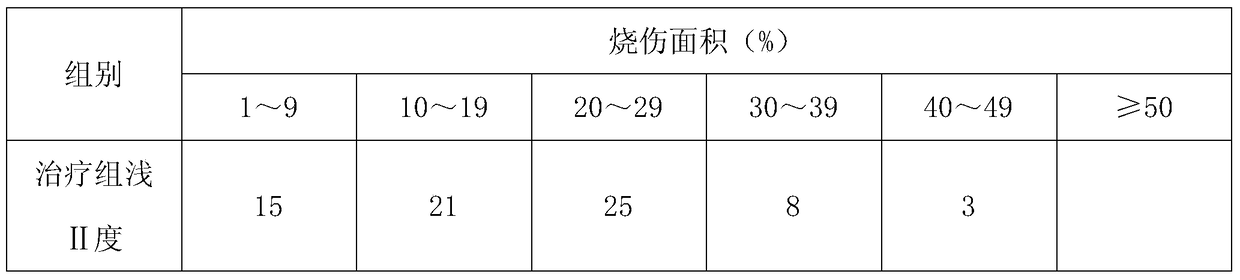 A kind of compound burn ointment and preparation method thereof