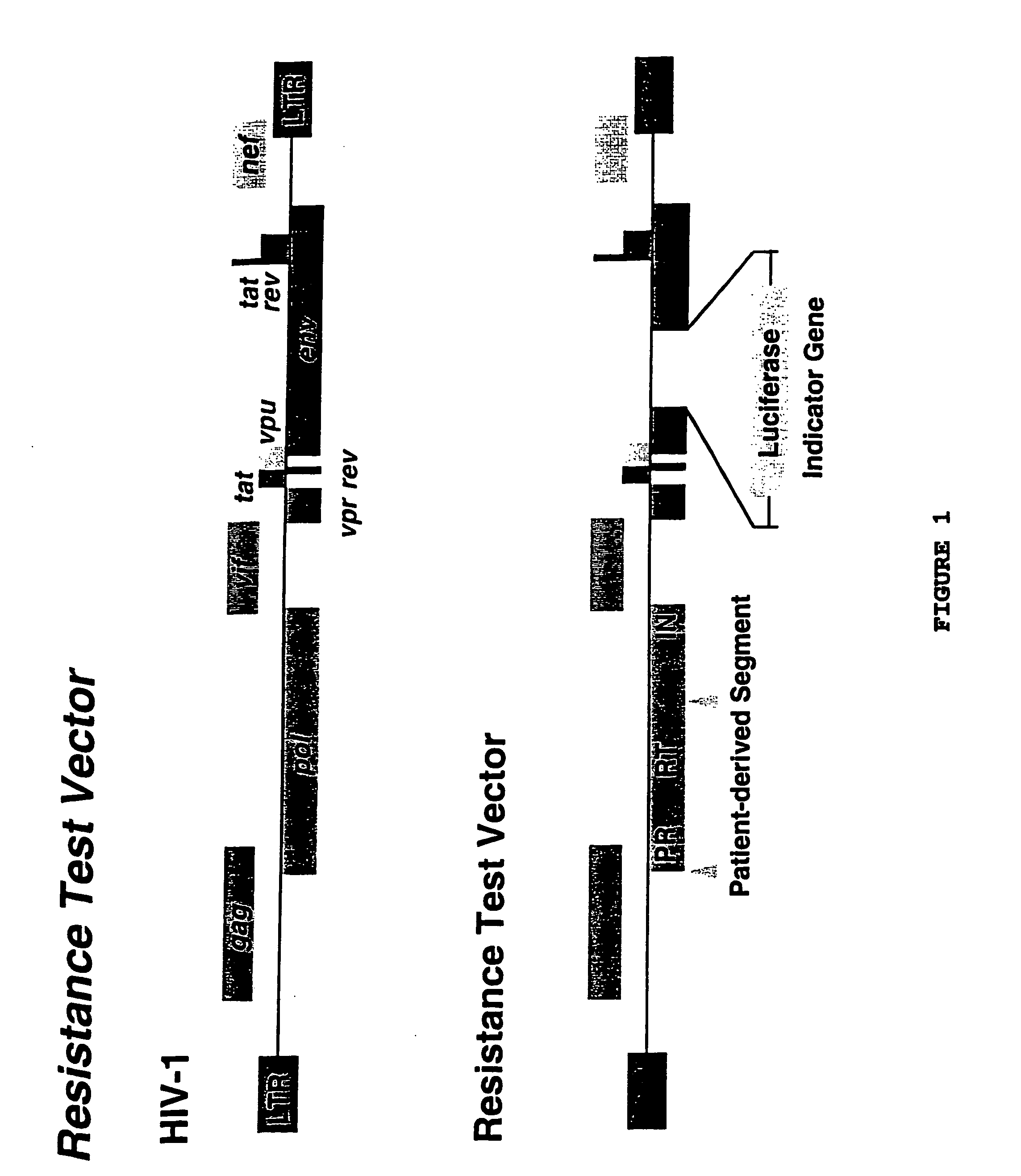 Means and methods for monitoring non-nucleoside reverse transcriptase inhibitor antiretroviral therapy and guiding therapeutic decisions in the treatment HIV-AIDS
