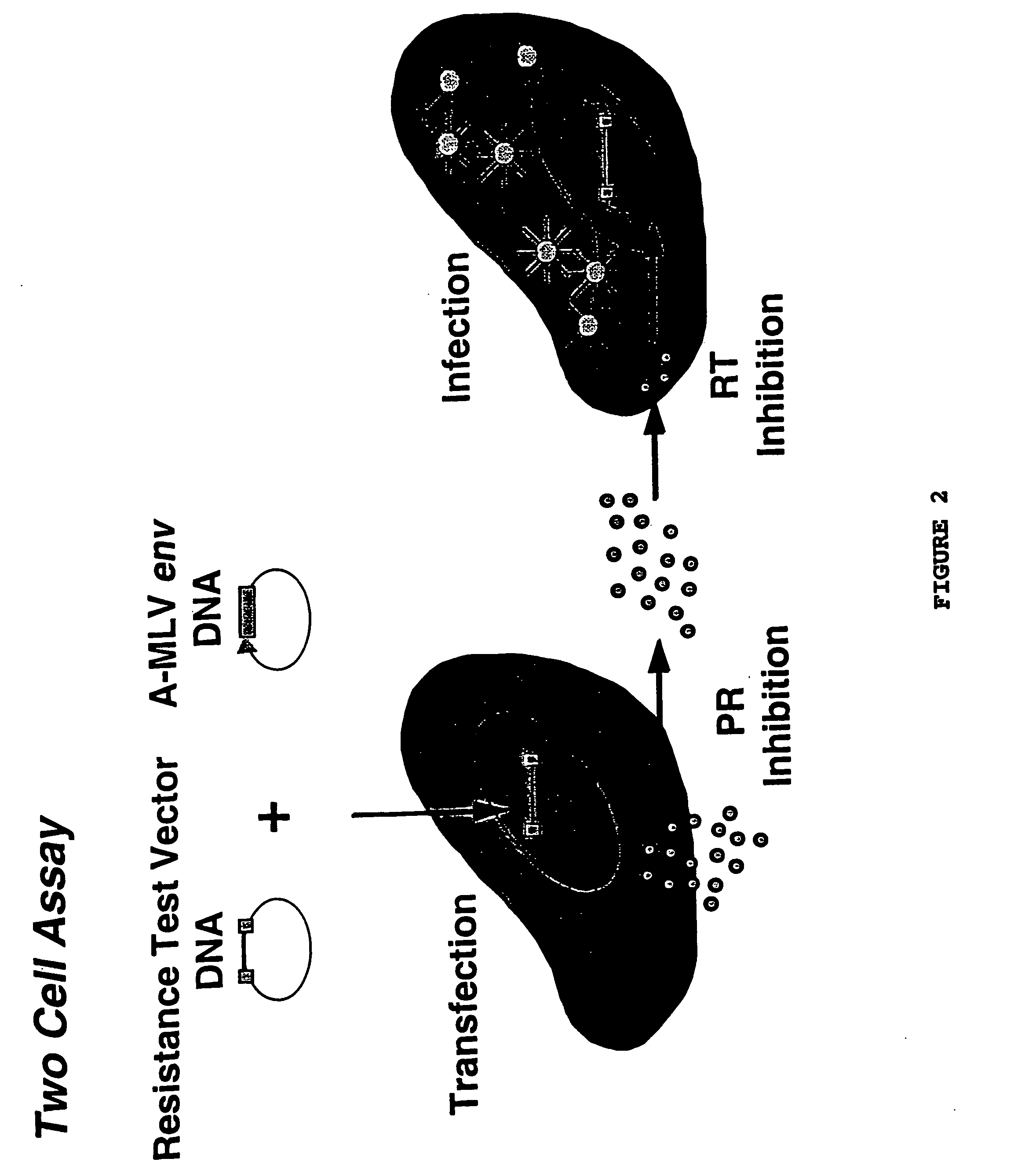 Means and methods for monitoring non-nucleoside reverse transcriptase inhibitor antiretroviral therapy and guiding therapeutic decisions in the treatment HIV-AIDS
