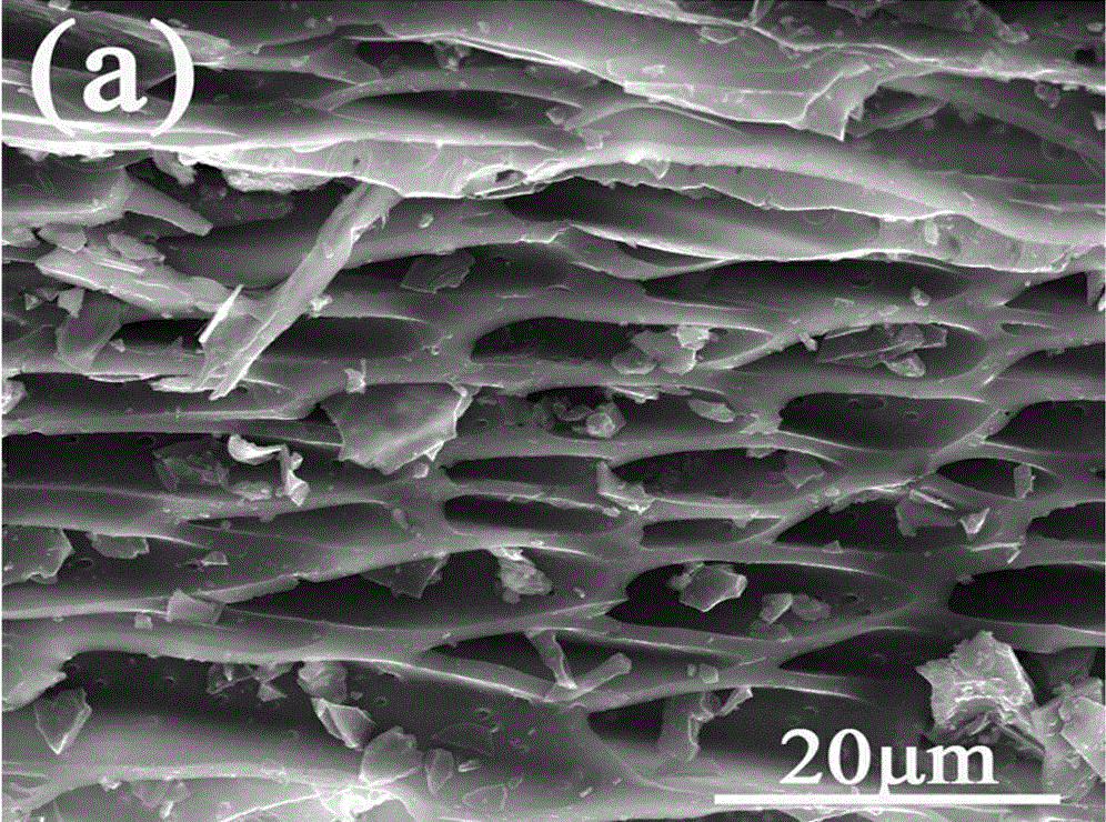 Method for preparing activated carbon with high specific surface area by using conyza canadensis