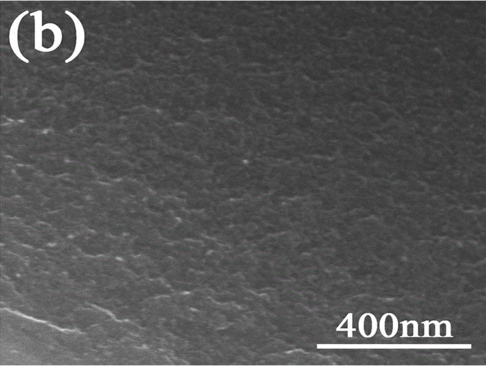 Method for preparing activated carbon with high specific surface area by using conyza canadensis