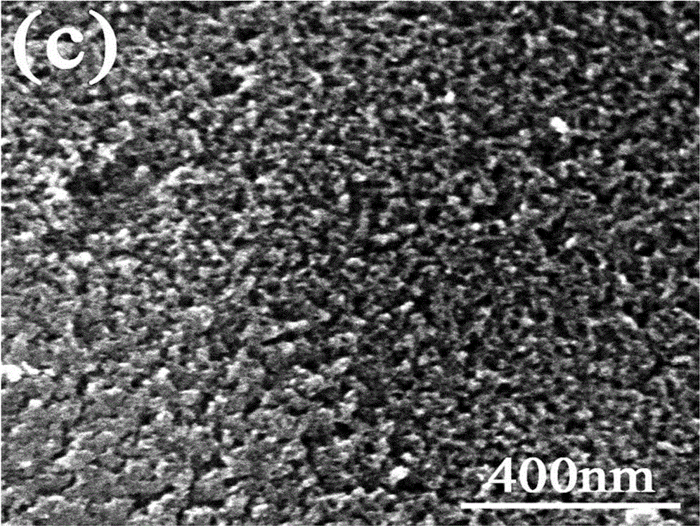 Method for preparing activated carbon with high specific surface area by using conyza canadensis