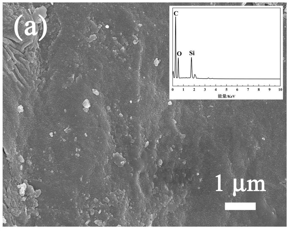 Magnetic Fe3O4/biochar adsorbent and application thereof