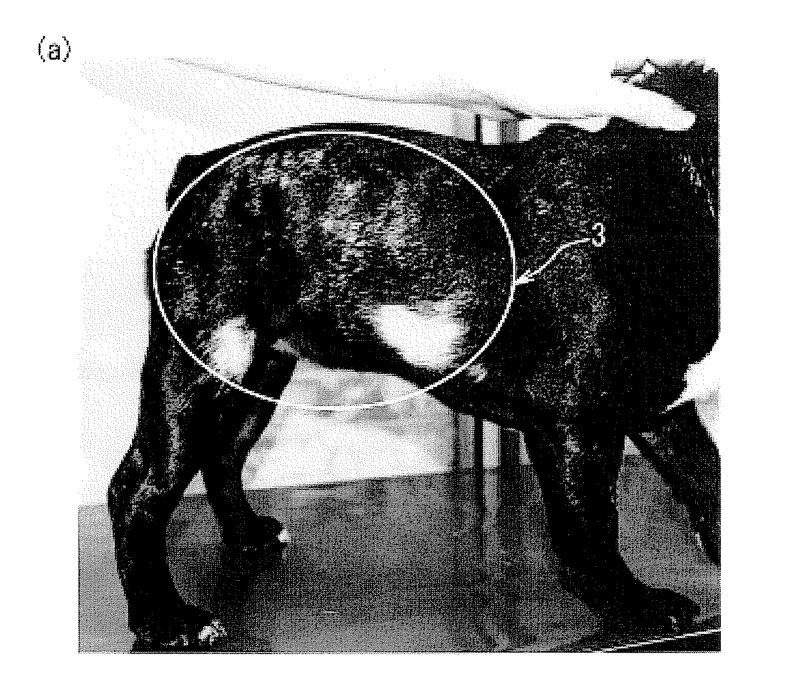 Method of proliferating lak cell