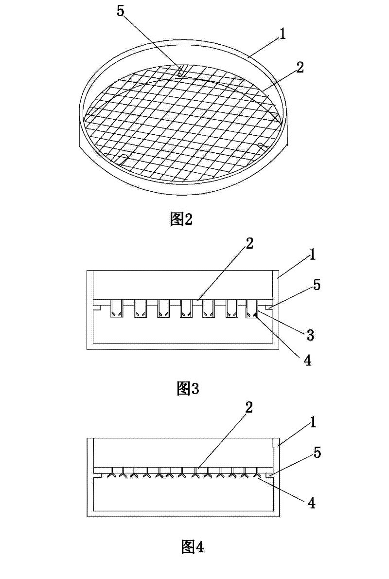 Small insect/small spider specimen collection method and loading plate