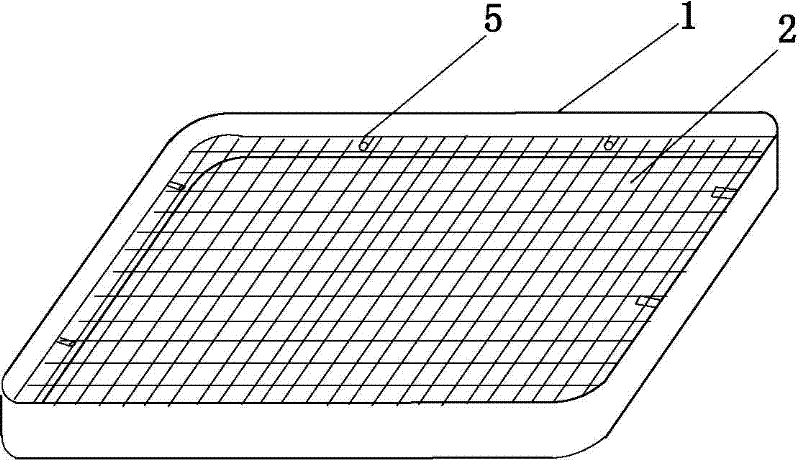 Small insect/small spider specimen collection method and loading plate