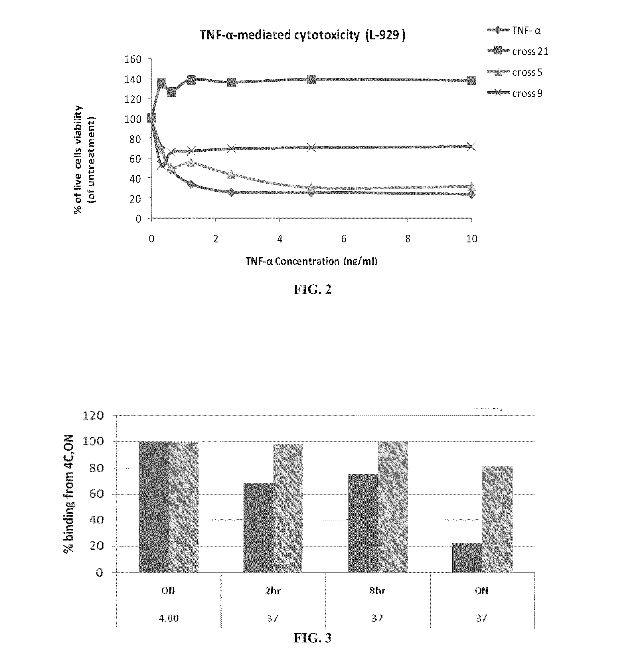 Multimeric forms of therapeutic proteins and uses thereof