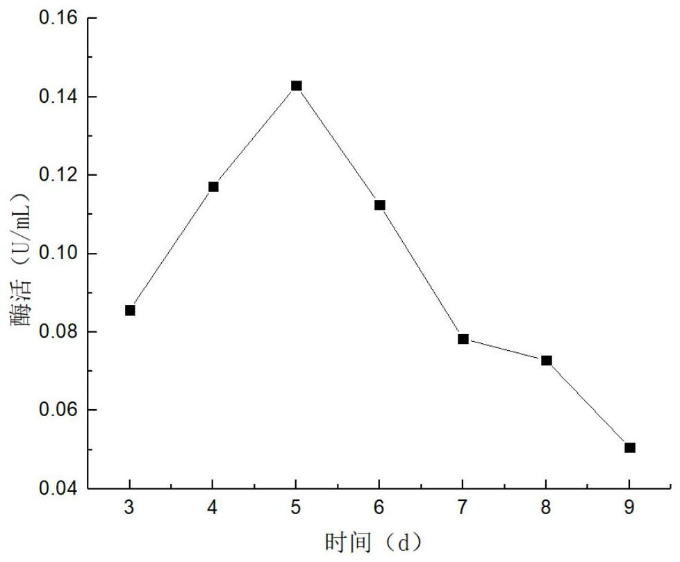 Antibacterial activity of trichoderma aureoviride and application of trichoderma aureoviride