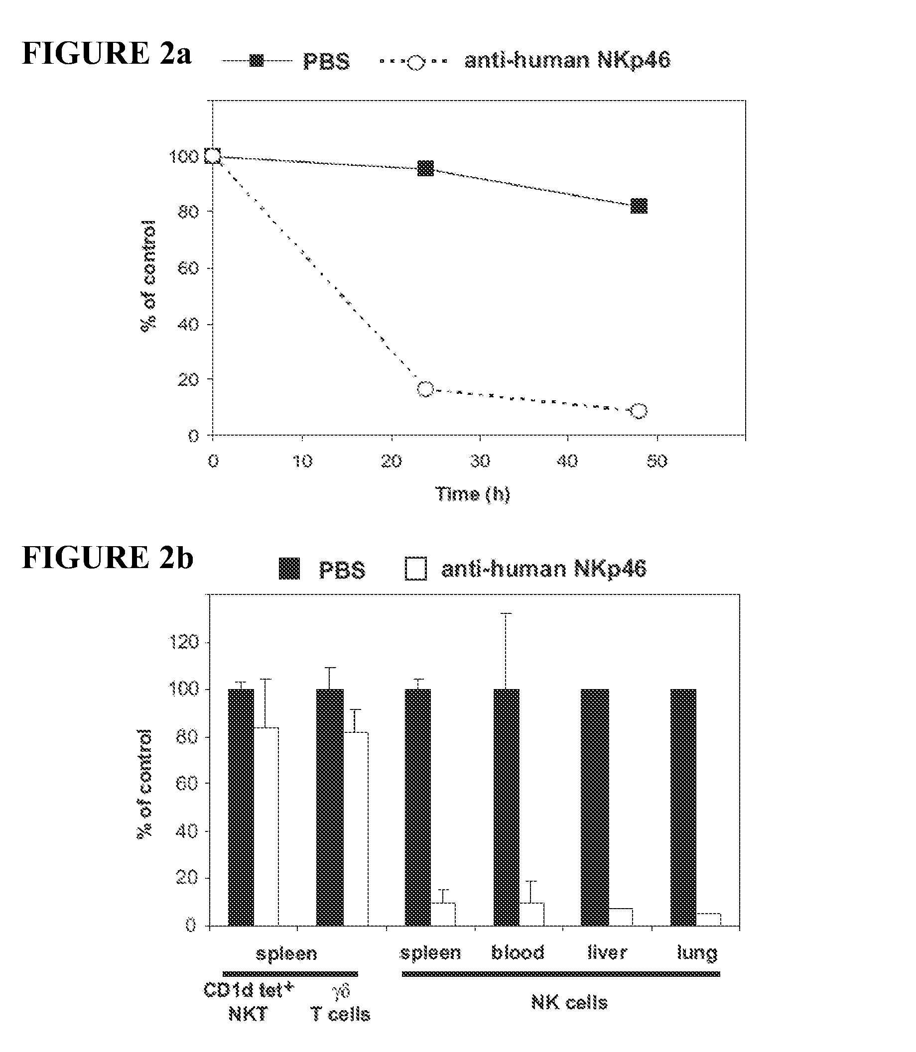Compositions and methods for treating proliferative disorders