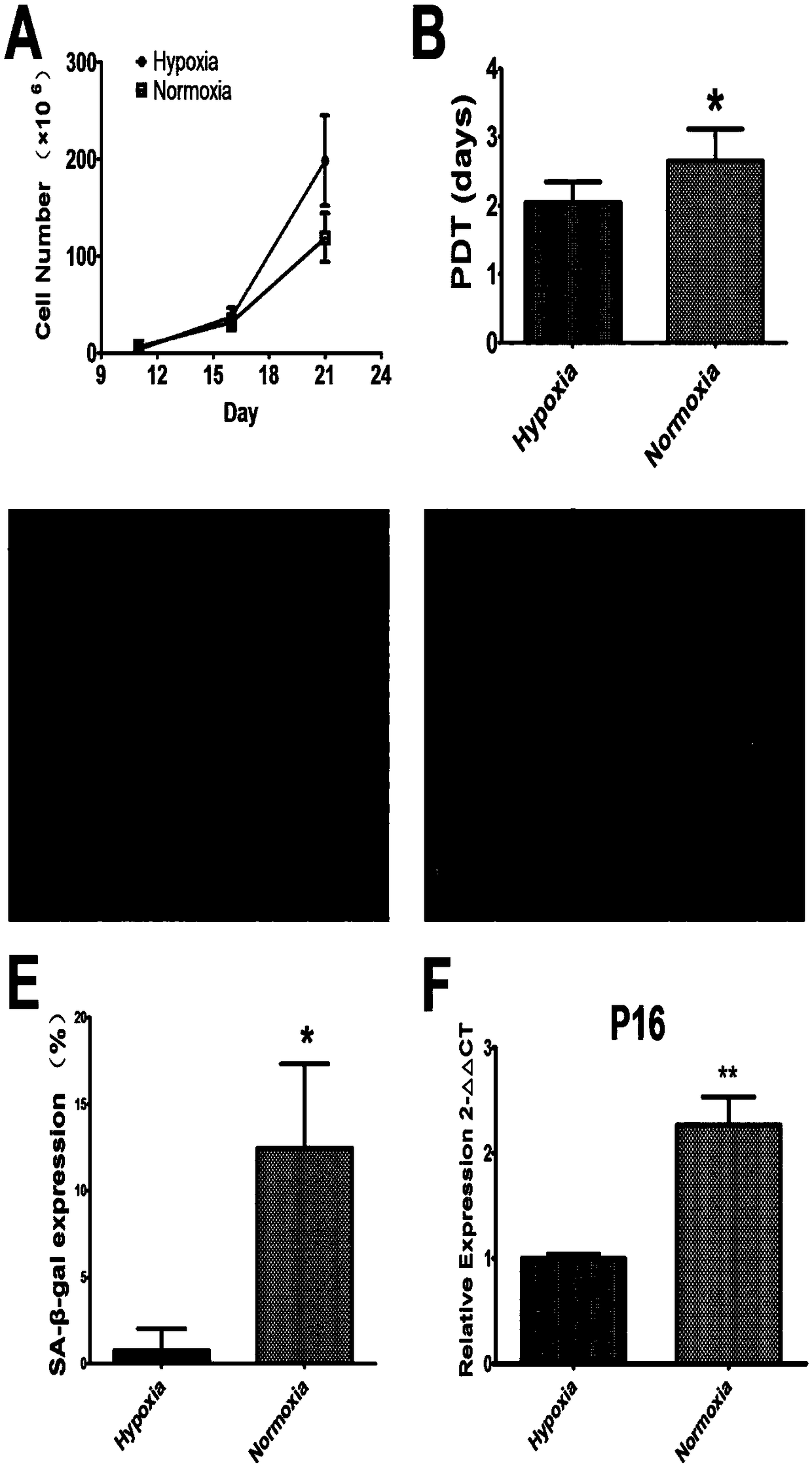 Method for ex vivo expansion of human vascular endothelial progenitor cells in low oxygen condition