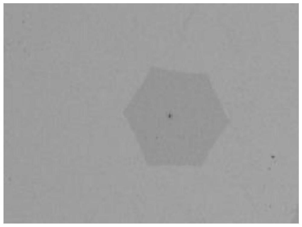 Method for transferring graphene film on metal substrate