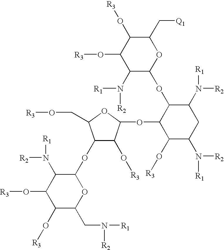 Antibacterial 6'-modified 4,5-substituted aminoglycoside analogs