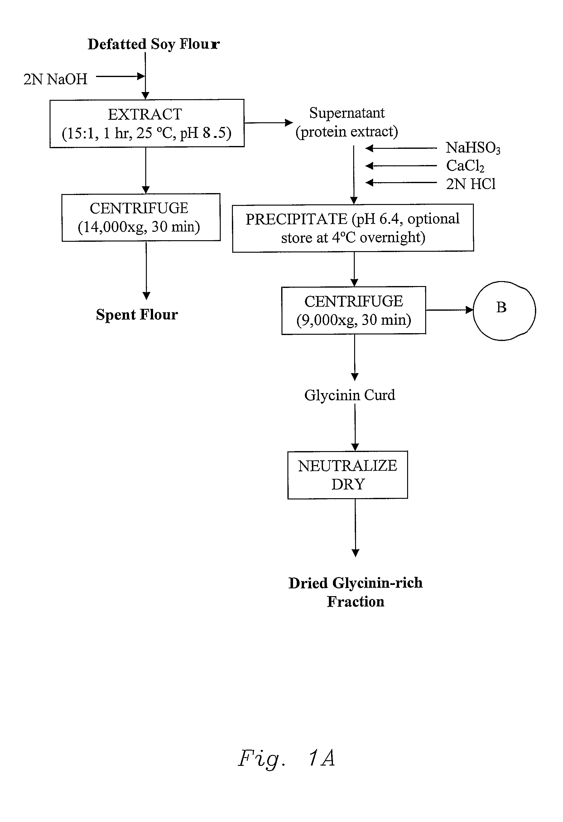 Vegetable protein fractionization process and compositions