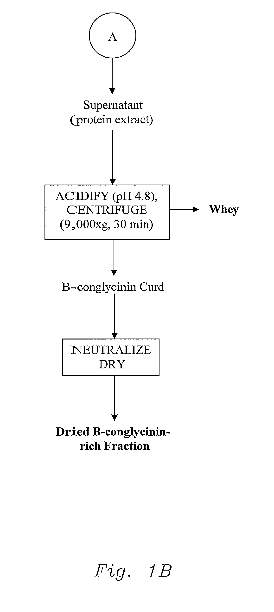 Vegetable protein fractionization process and compositions