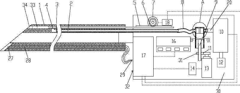 Piston type portable detection system for blood of human body