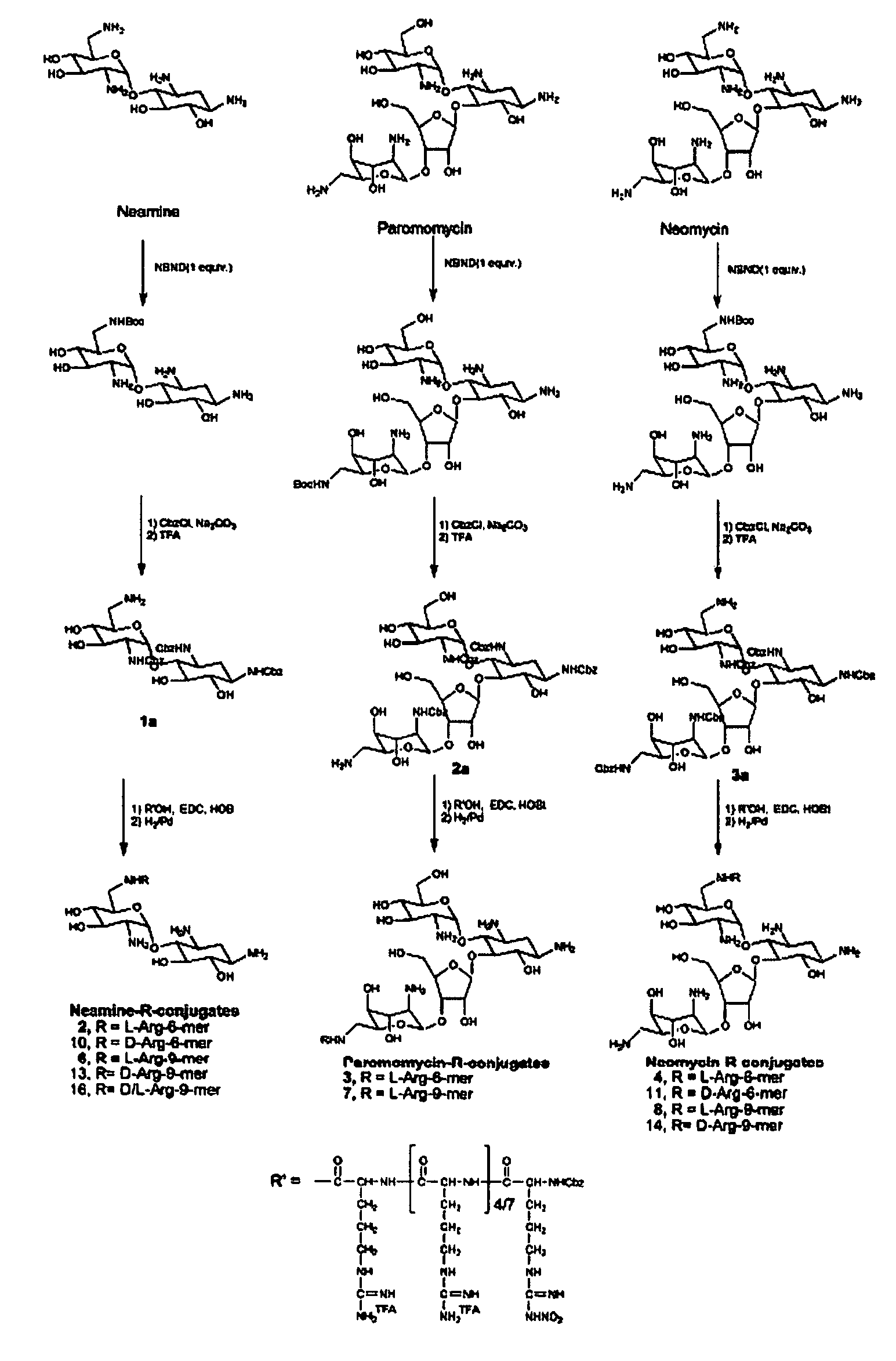 Novel conjugates of polysaccharides and uses thereof