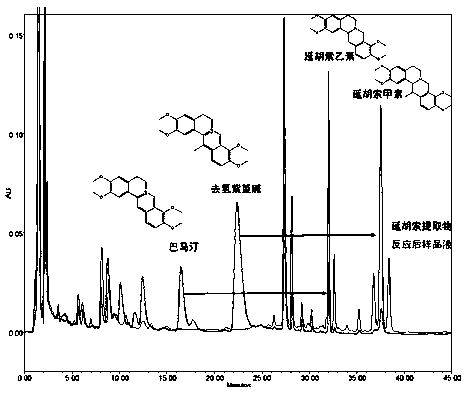 Preparation method of tertiary amine alkali components in rhizoma corydalis