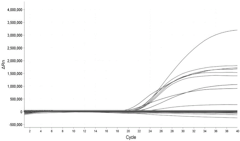 Kit for simultaneously detecting parainfluenza virus types 1-4, coronavirus 229E and rhinovirus and pathogen detection method