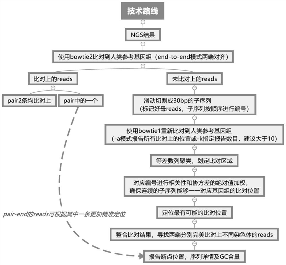 NGS-based chromosome balanced translocation detection and analysis system and its application